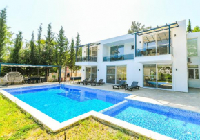 Villa White Stone